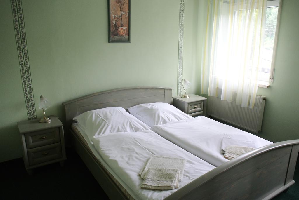 Penzion Haus Regrus Jáchymov Zewnętrze zdjęcie